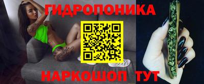 твердый Будённовск